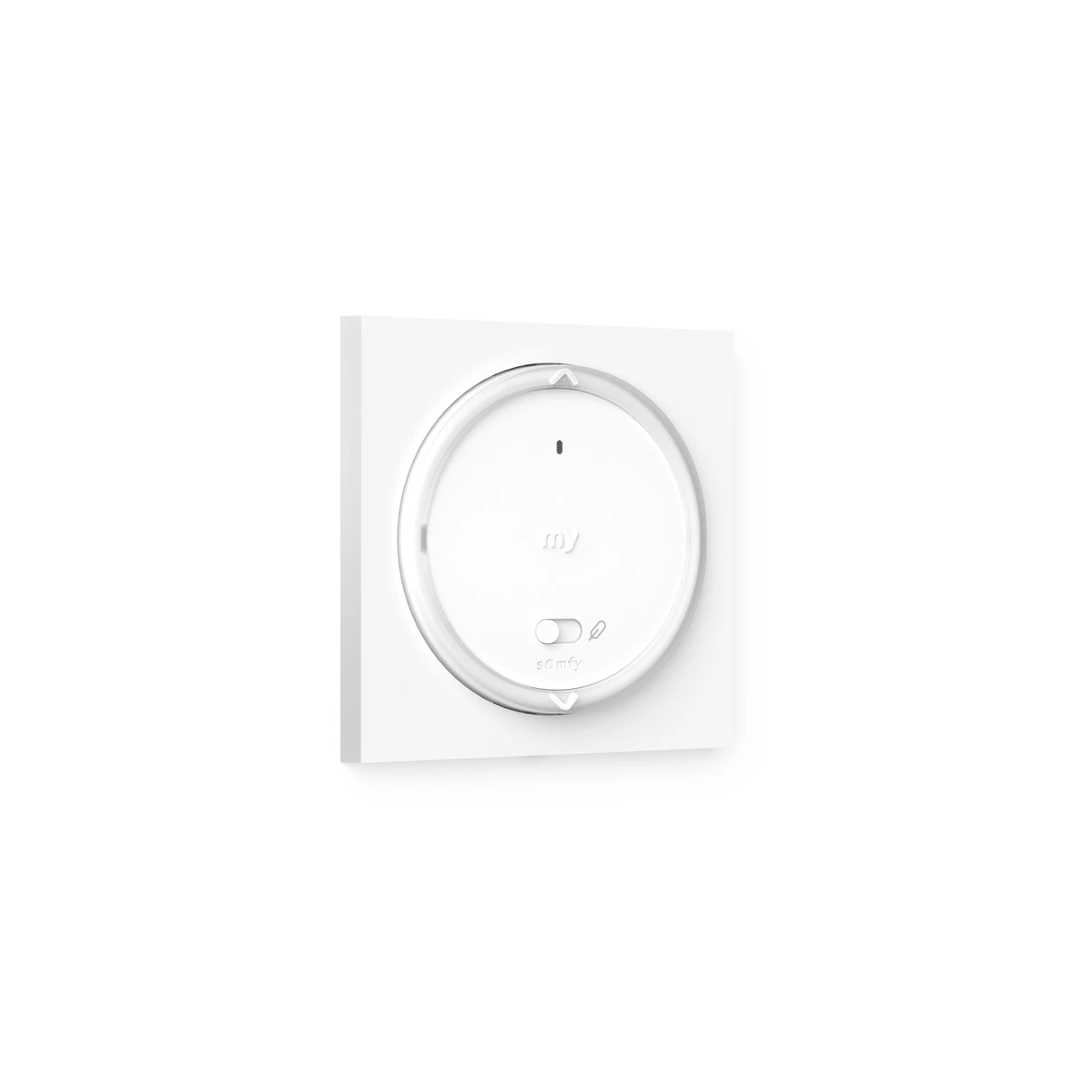 Amy 1 Channel RS100 io